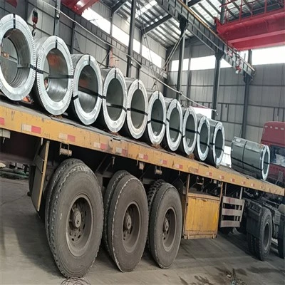 3.0Bobina laminada en frío MM DC01